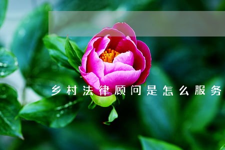 乡村法律顾问是怎么服务 乡村法律顾问是怎么服务