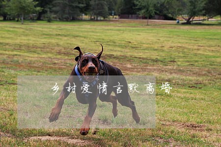 乡村爱情言默离婚 乡村爱情言默离婚