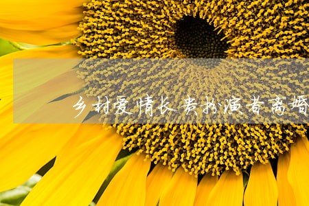 乡村爱情长贵扮演者离婚 乡村爱情长贵扮演者离婚