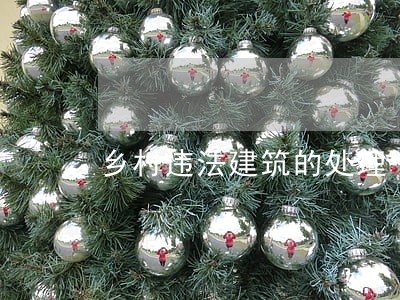 乡村违法建筑的处理