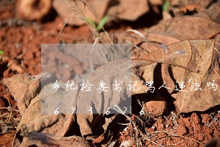 乡纪检委书记骂人违法吗/2023012693676