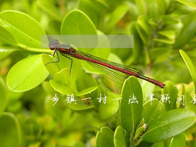 乡镇一村一法律顾问会 乡镇一村一法律顾问会