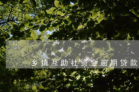 乡镇互助社资金逾期贷款催收 乡镇互助社资金逾期贷款催收