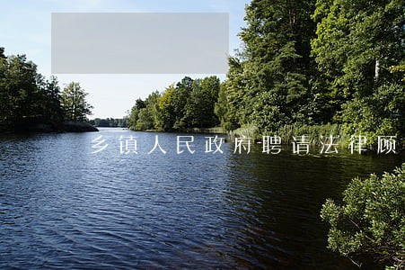 乡镇人民政府聘请法律顾问协议 乡镇人民政府聘请法律顾问协议