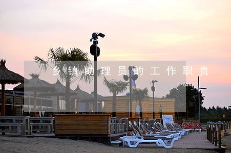 乡镇助理员的工作职责 乡镇助理员的工作职责