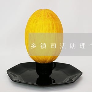 乡镇司法助理个人工作总结 乡镇司法助理个人工作总结