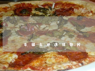 乡镇土地违法包片 乡镇土地违法包片
