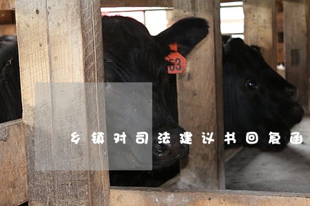 乡镇对司法建议书回复函 乡镇对司法建议书回复函