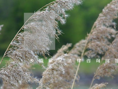乡镇常见法律咨询问答 乡镇常见法律咨询问答