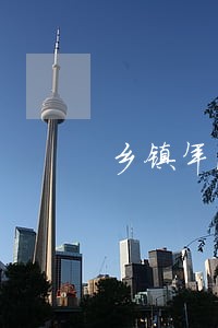 乡镇年法治政府建设情况报告 乡镇年法治政府建设情况报告