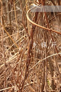 乡镇开展法律援助宣传