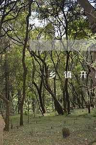 乡镇开展野生动物资源违法通讯