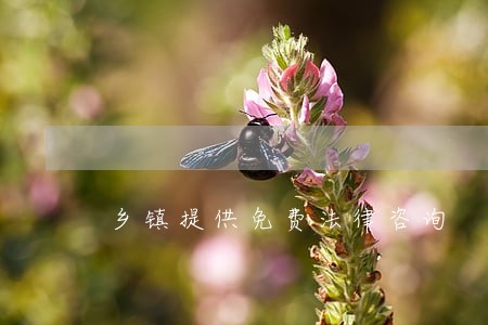 乡镇提供免费法律咨询