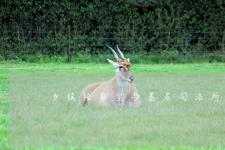 乡镇检察室与基层司法所座谈会