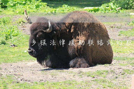 乡镇法律援助联络站的职责 乡镇法律援助联络站的职责