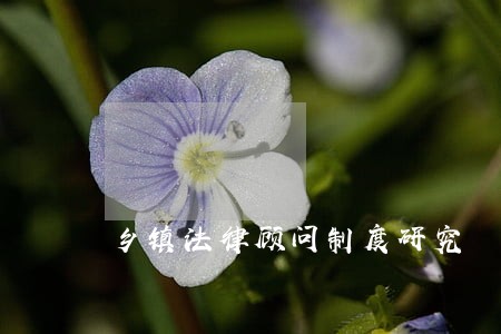 乡镇法律顾问制度研究 乡镇法律顾问制度研究