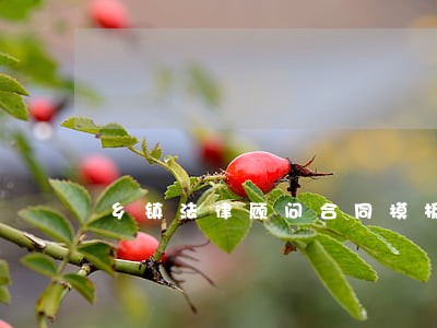 乡镇法律顾问合同模板 乡镇法律顾问合同模板
