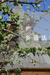 乡镇法律顾问多少一年 乡镇法律顾问多少一年