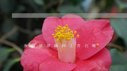 乡镇法律顾问工作台账 乡镇法律顾问工作台账