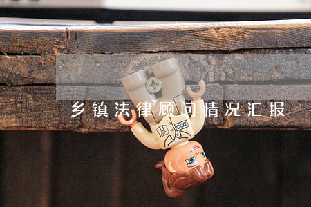 乡镇法律顾问情况汇报 乡镇法律顾问情况汇报