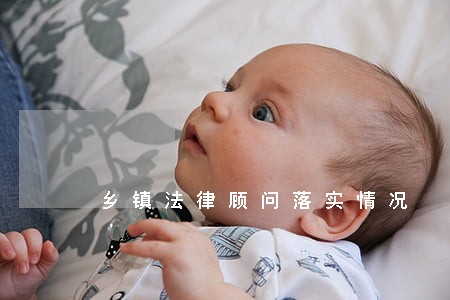 乡镇法律顾问落实情况