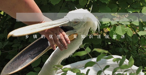 乡镇的优生优育知识法规宣讲