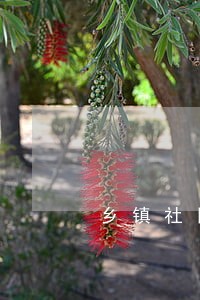 乡镇社区矫正工作简报 乡镇社区矫正工作简报