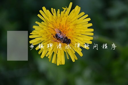 乡镇聘请法律顾问程序 乡镇聘请法律顾问程序