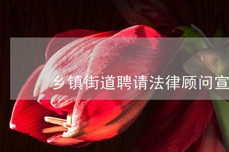 乡镇街道聘请法律顾问宣传报道
