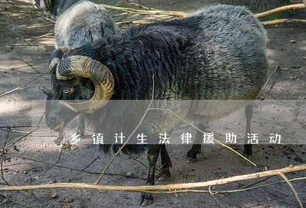 乡镇计生法律援助活动 乡镇计生法律援助活动