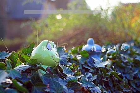 乡镇违法生育摸底情况 乡镇违法生育摸底情况