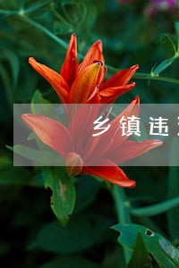 乡镇违法用地情况汇报 乡镇违法用地情况汇报
