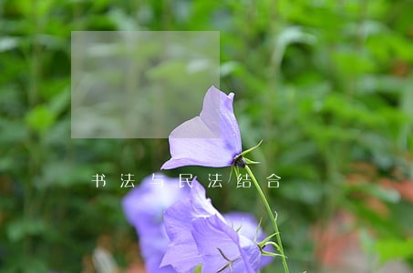 书法与民法结合 书法与民法结合