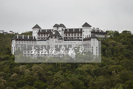 书法院奖获奖