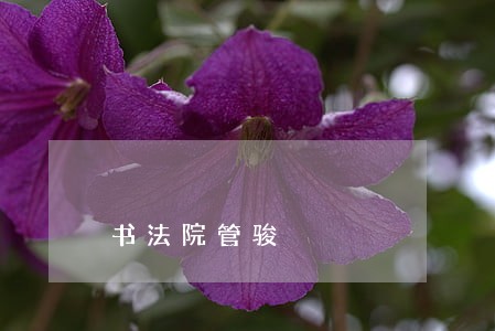 书法院管骏