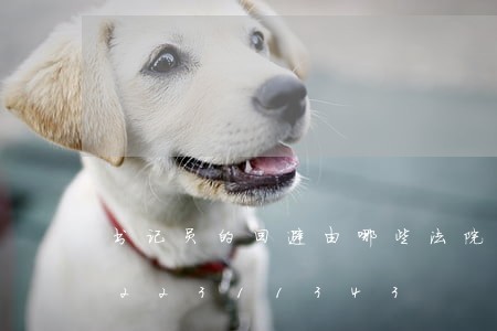 书记员的回避由哪些法院决定/2023022311343 书记员的回避由哪些法院决定/2023022311343