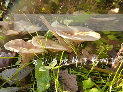 书记员被辞退影响拿律师证吗 书记员被辞退影响拿律师证吗