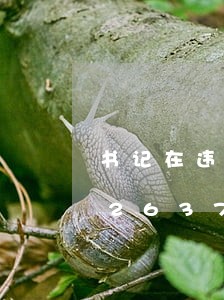 书记在违法建设治理讲话稿/2023012637060 书记在违法建设治理讲话稿/2023012637060