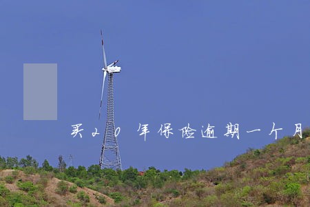 买20年保险逾期一个月交可以吗 买20年保险逾期一个月交可以吗