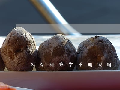 买专利算学术造假吗 买专利算学术造假吗