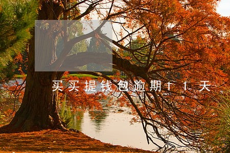 买买提钱包逾期11天 买买提钱包逾期11天