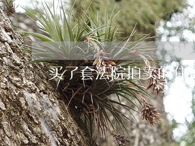 买了套法院拍卖的住房 买了套法院拍卖的住房