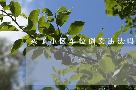 买了小区车位倒卖违法吗 买了小区车位倒卖违法吗