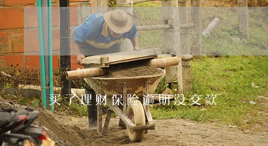 买了理财保险逾期没交款 买了理财保险逾期没交款