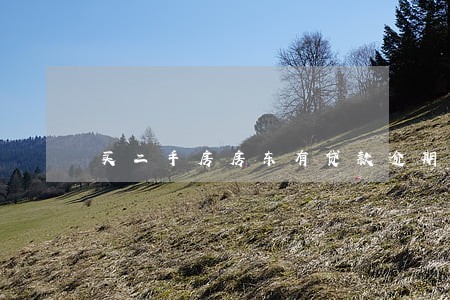 买二手房房东有贷款逾期 买二手房房东有贷款逾期