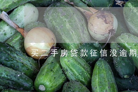 买二手房贷款征信没逾期 买二手房贷款征信没逾期