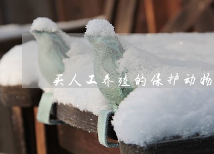买人工养殖的保护动物违法吗 买人工养殖的保护动物违法吗
