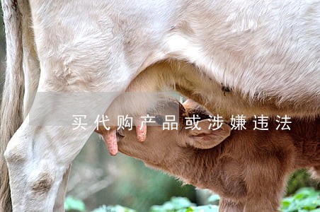 买代购产品或涉嫌违法 买代购产品或涉嫌违法