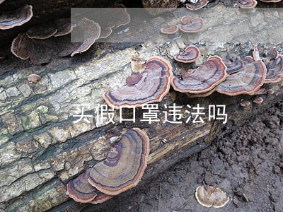 买假口罩违法吗