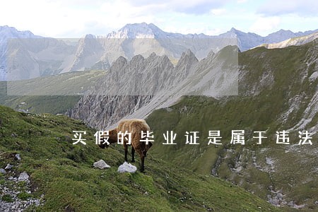 买假的毕业证是属于违法的吗 买假的毕业证是属于违法的吗
